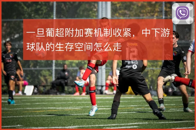 一旦葡超附加赛机制收紧,中下游球队的生存空间怎么走
