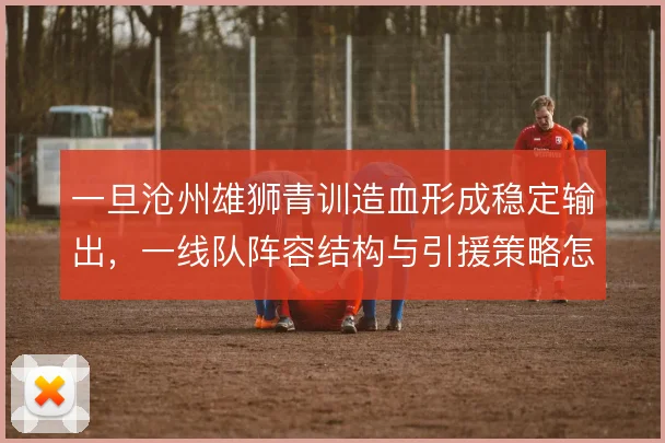 一旦沧州雄狮青训造血形成稳定输出，一线队阵容结构与引援策略怎么走